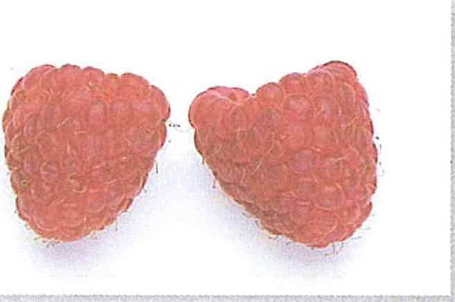 (בספר תמונות - היעזר במורה)